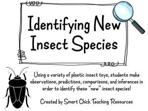 Identifying New Insect Species1